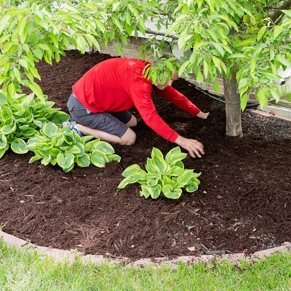 we typically recommend scheduling mulch installation for flower beds once a year to maintain optimal soil conditions